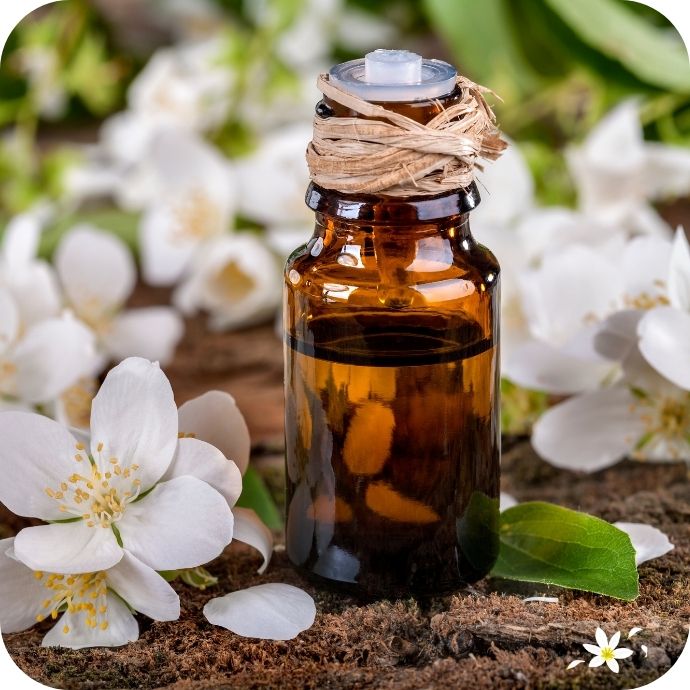 Glasfläschchen mit Bachblüten-Essenzen, umgeben von Blüten